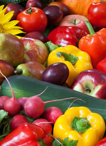 aliments